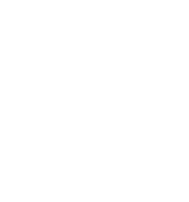Stone Inside Logo